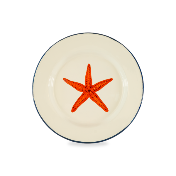 Emaliuota lėkštė "Seastar", 25 cm.