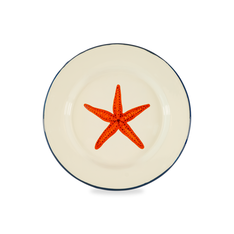 Emaliuota lėkštė "Seastar", 25 cm.