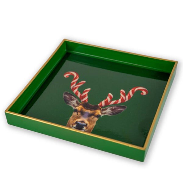 Padėklas su Kalėdine dekoracija